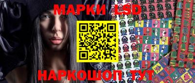 apvp Бердск