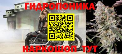 apvp Бердск